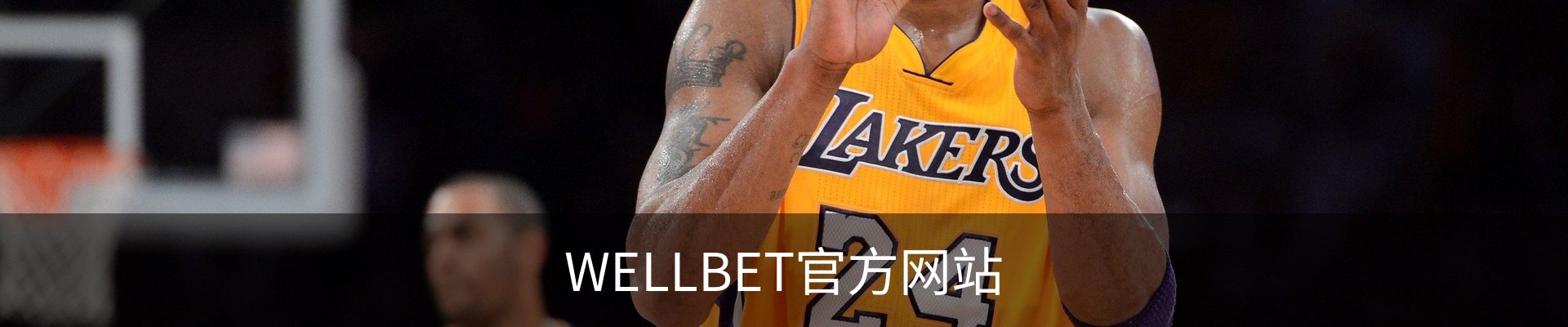 WELLBET官方网站